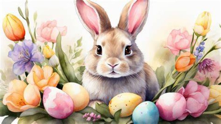 Easter Bunny Easter Bunny