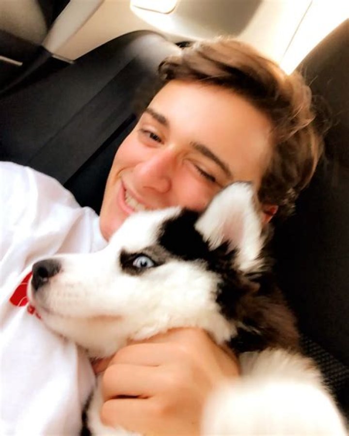 Noah Schnapp Pets